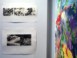 Andrea Soler Insight 2